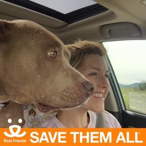 Meet your Posher, Karina